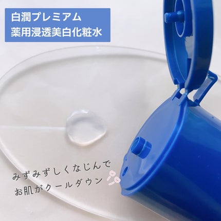 白潤プレミアム薬用浸透美白化粧水/肌ラボ/化粧水を使ったクチコミ(3枚目)