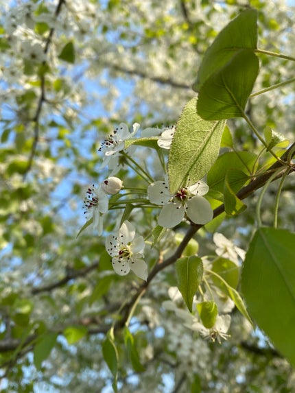 ã䜿ã£ãã¯ãã³ãïŒ2æç®ïŒ