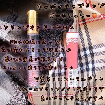 ユアリップオンリーグロス/キャンメイク/リップグロスを使ったクチコミ(2枚目)