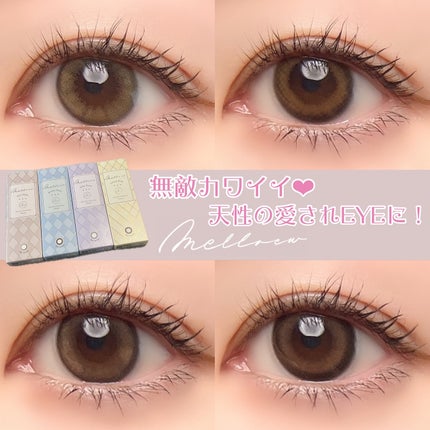 melloew 1day/melloew/ワンデー(1DAY)カラコンを使ったクチコミ(1枚目)
