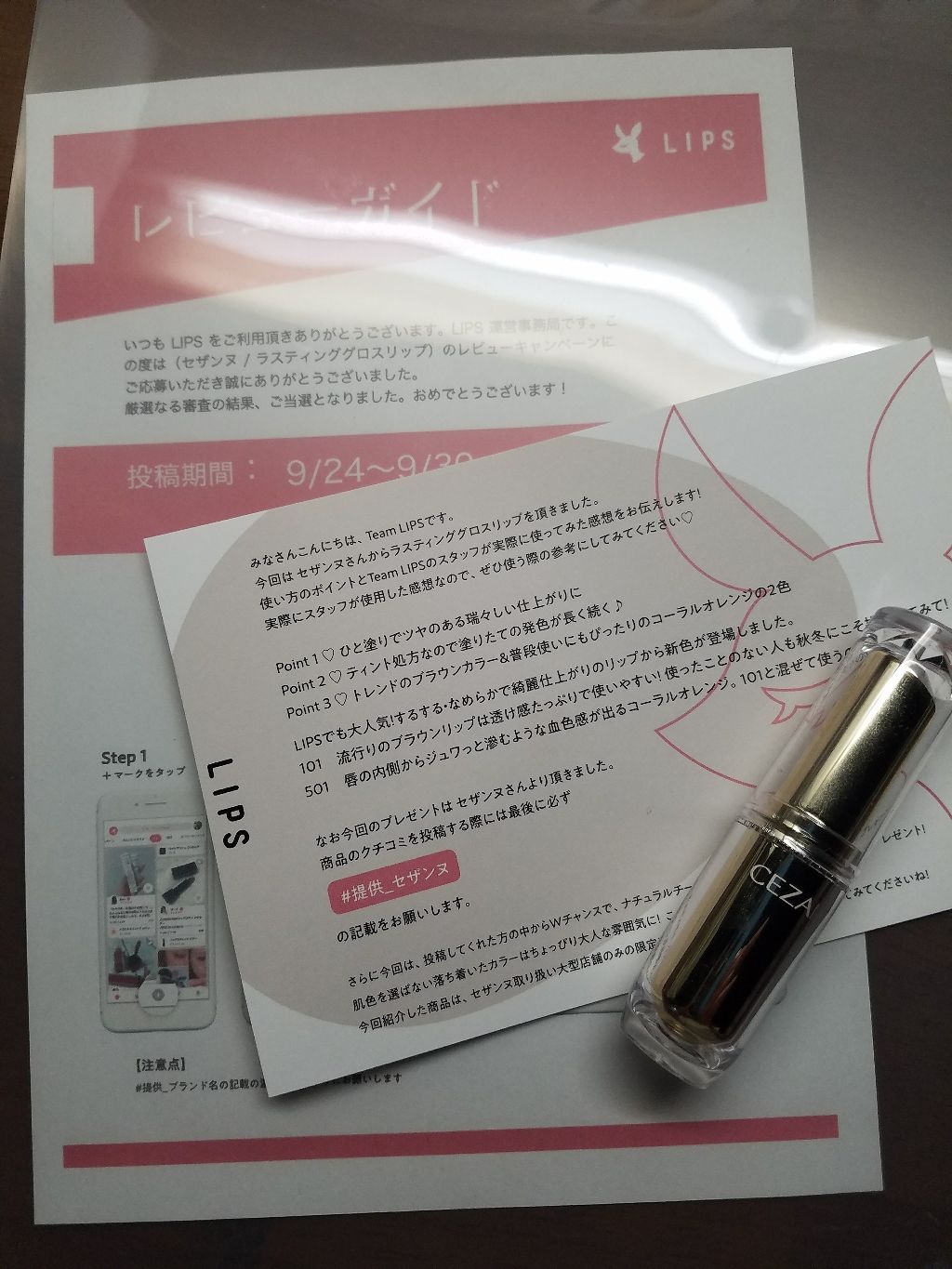 ラスティンググロスリップ/CEZANNE/口紅を使ったクチコミ(1枚目)