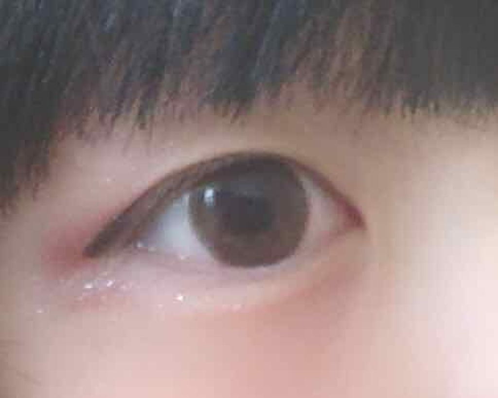 ナイストゥミーチュートランク/MAJOLICA MAJORCA/アイシャドウパレットを使ったクチコミ(2枚目)