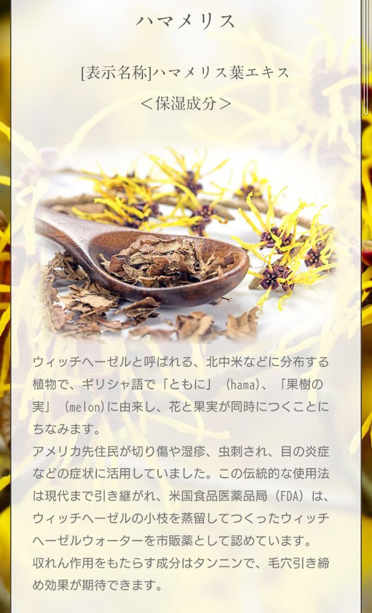 マイスキンケア美容液 ハマメリス/DAISO/美容液を使ったクチコミ(3枚目)