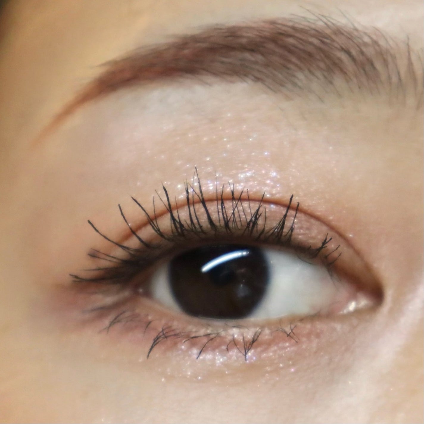 ペールトーンアイシャドウ/CEZANNE/アイシャドウを使ったクチコミ(5枚目)