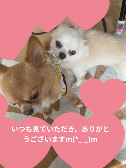 アベイユ ロイヤル クリーム/GUERLAIN/フェイスクリームを使ったクチコミ(10枚目)