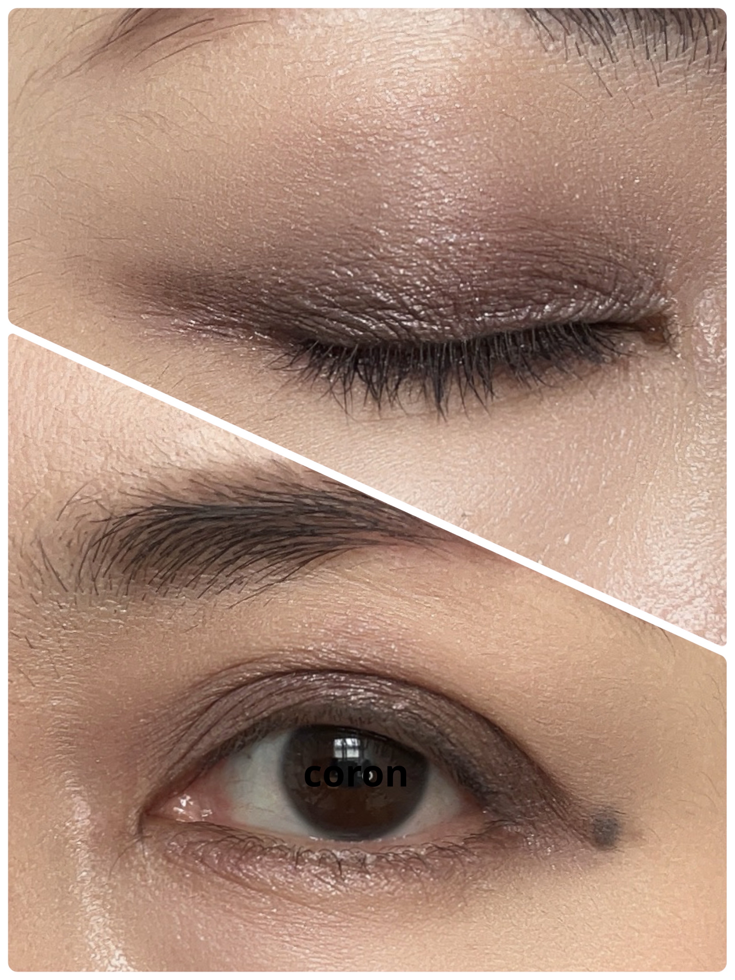 フラロッソ インテンソ アイシャドウ VI01/アスタリフト/アイシャドウパレットを使ったクチコミ（2枚目）