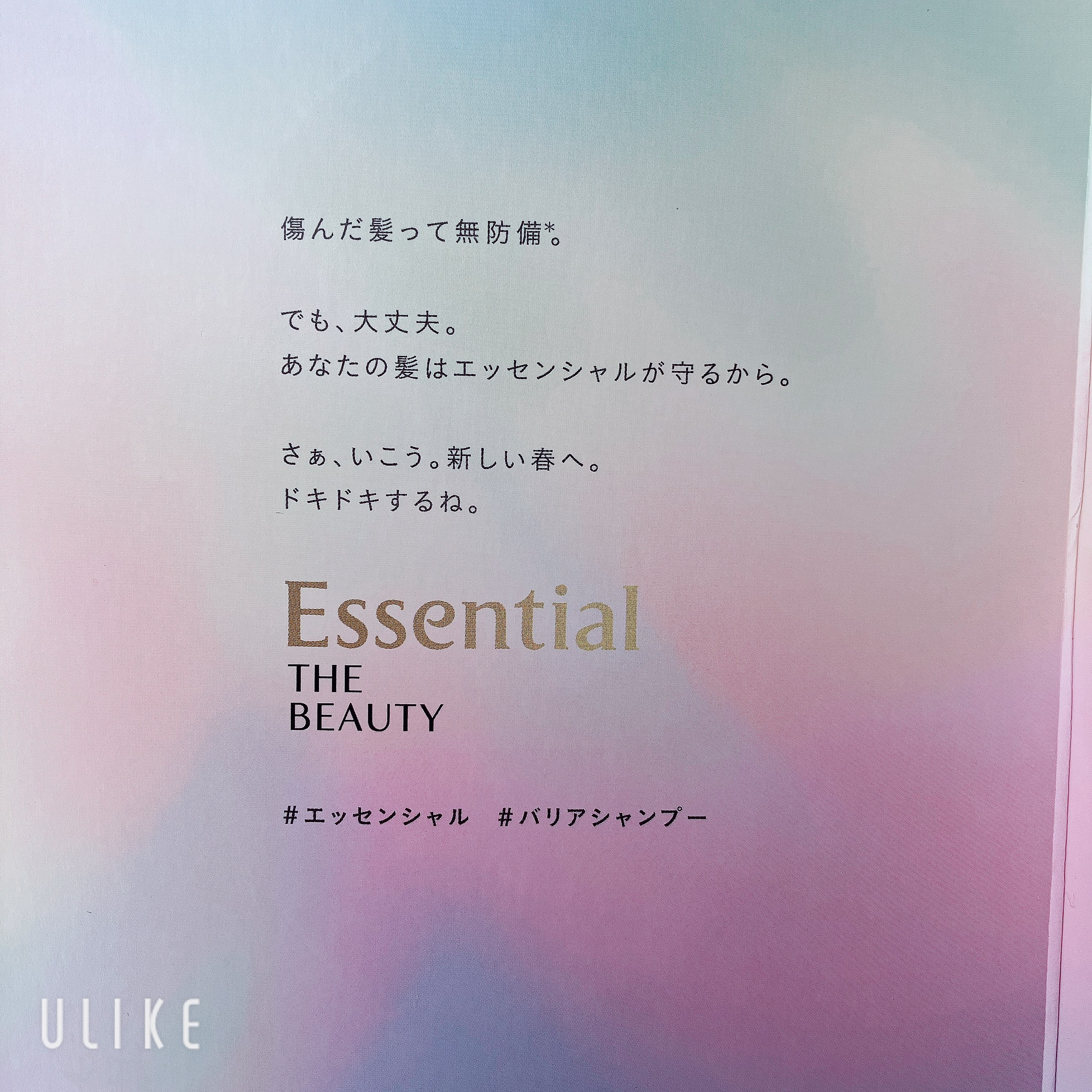 ザビューティ 髪のキメ美容素髪を守る バリアシャンプー/コンディショナー/エッセンシャル/シャンプー・コンディショナーを使ったクチコミ（2枚目）