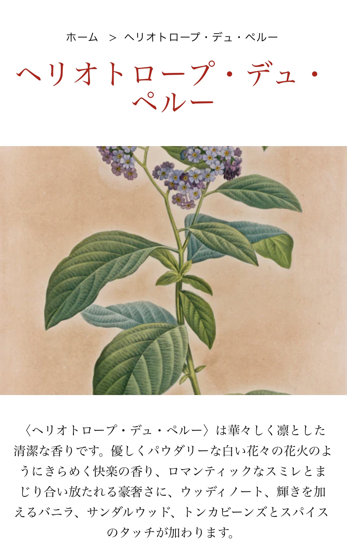 オードパルファン オルフェオン/diptyque/香水(レディース)を使ったクチコミ（2枚目）