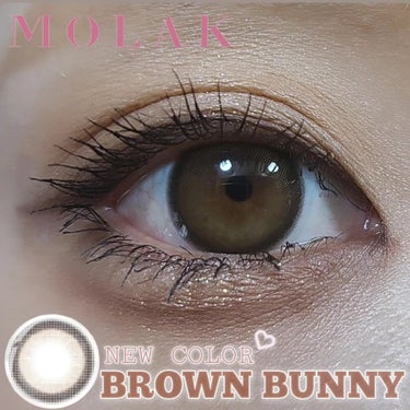 【MOLAK】

COLOR：Brown Bunny (全15色)

着け心地 ★★★★★
発色 ★★★☆☆
ﾅﾁｭﾗﾙ感 ★★★★★
デカ目演出効果 ★★☆☆☆

【DIA】14.2mm
【GDIA