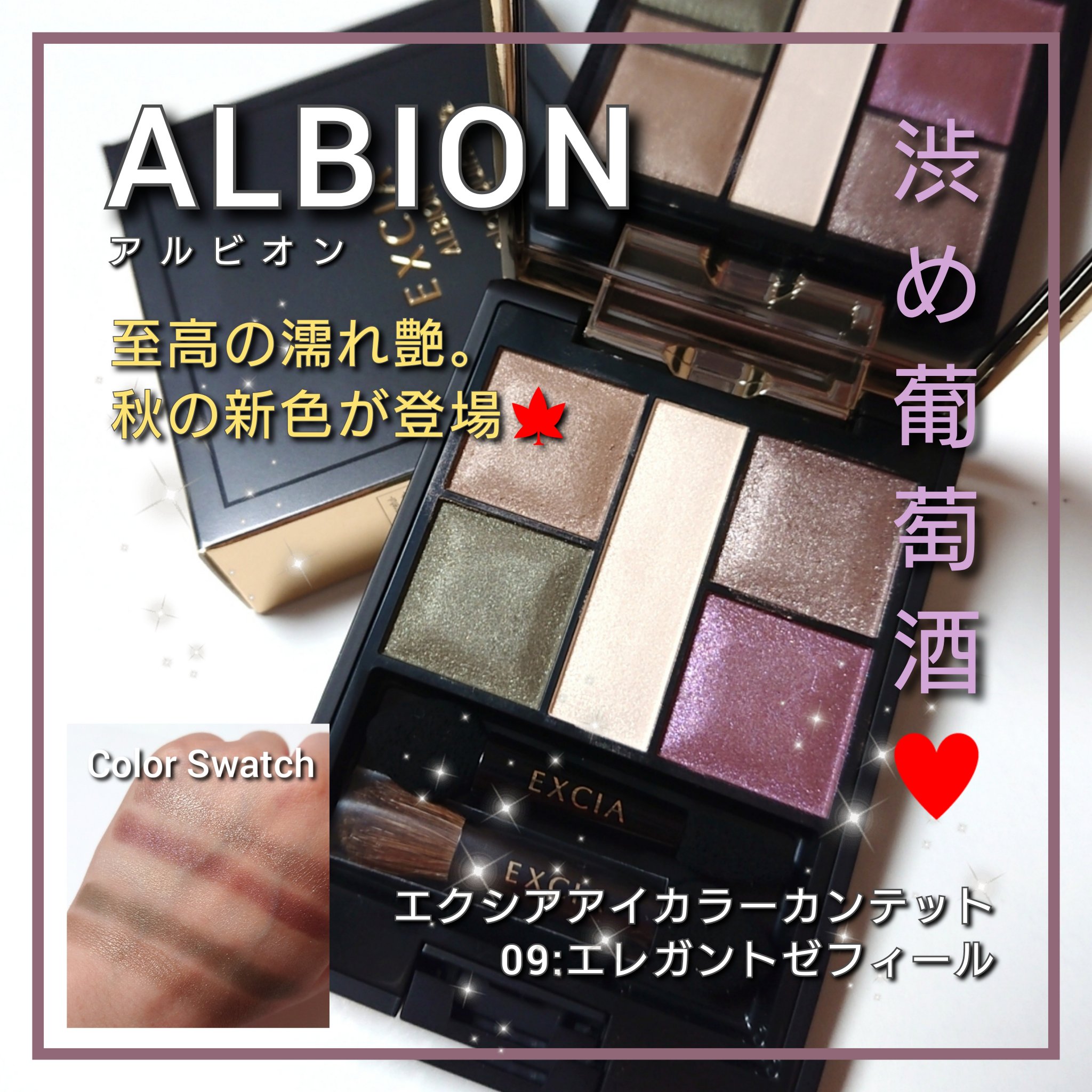 エクシア アイカラー カンテット 10 アリューリングハーモニー /ALBION/アイシャドウパレットを使ったクチコミ（1枚目）