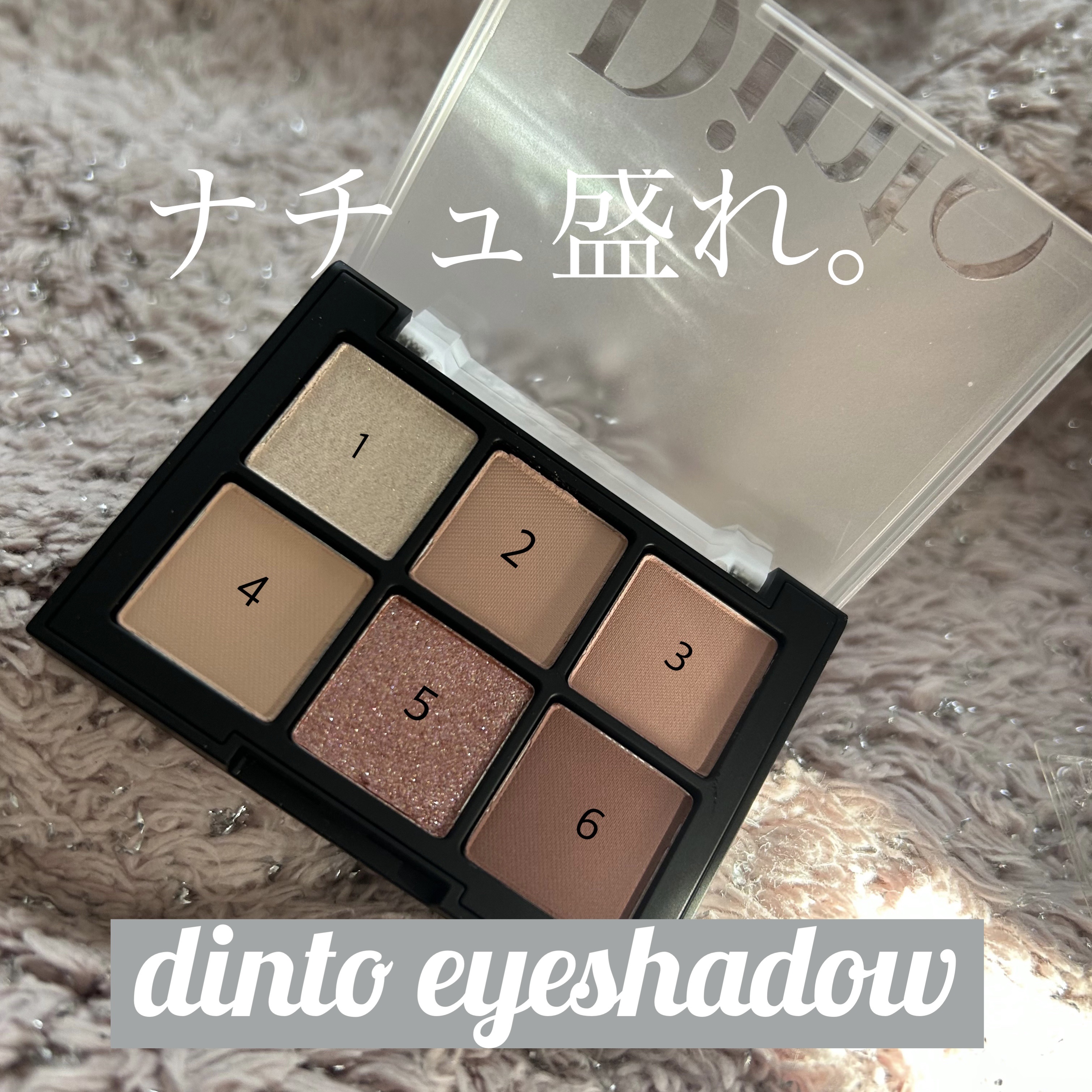 ブラーフィニシュシャドウパレット/Dinto/アイシャドウパレットを使ったクチコミ（1枚目）