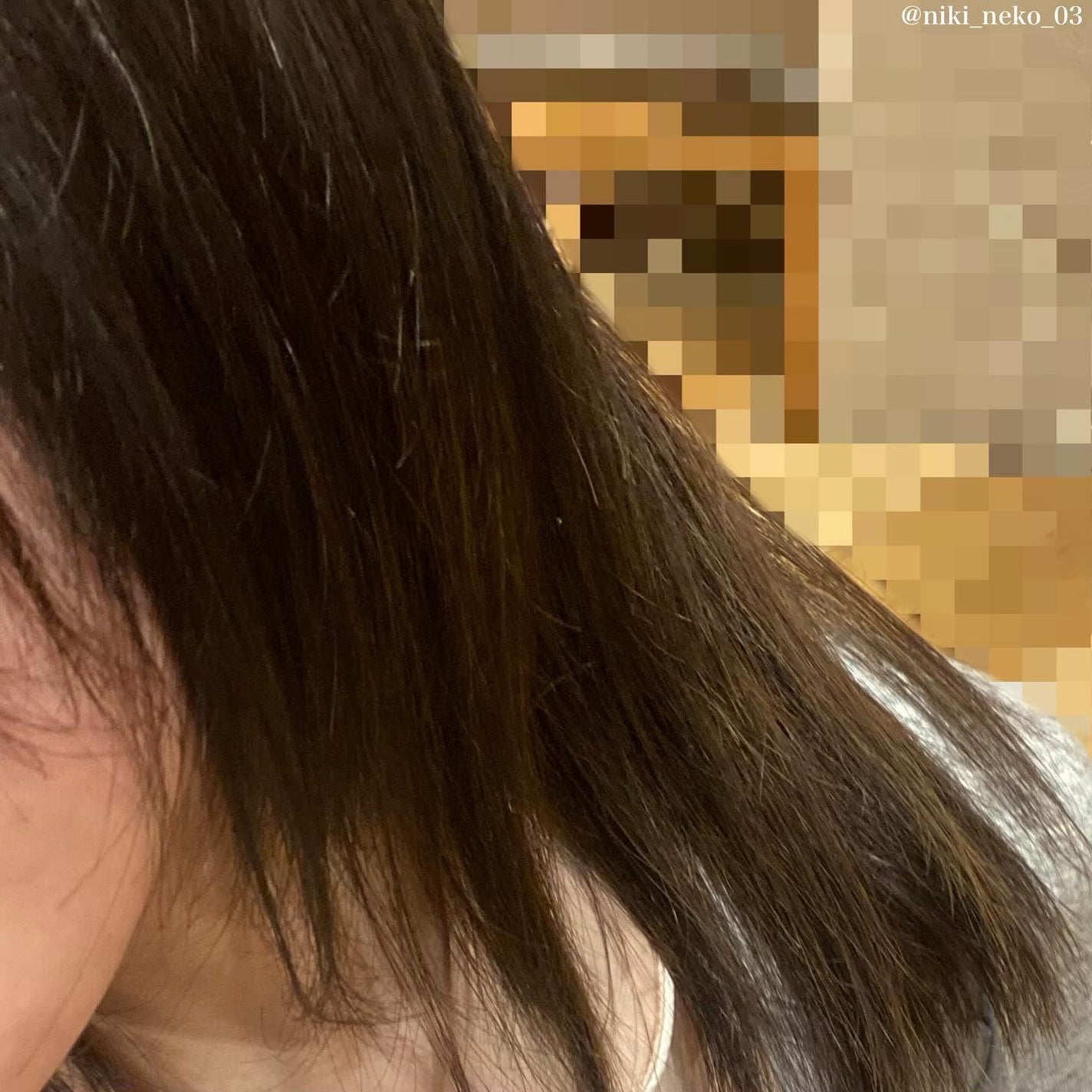 SHAMPOO & REPAIR/MEDULLA/市販シャンプーを使ったクチコミ(4枚目)