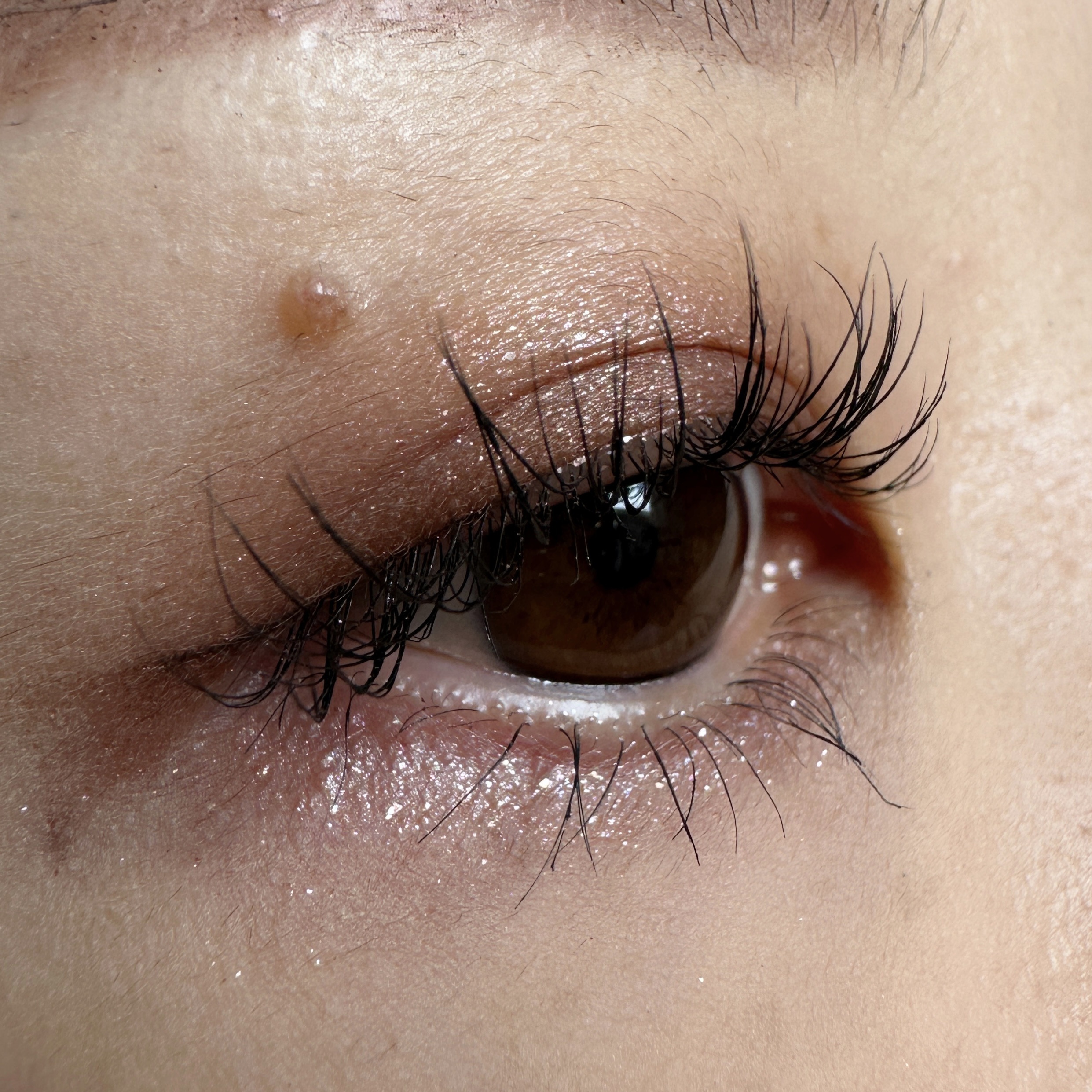 パーフェクトエクステンション マスカラ/D-UP/マスカラを使ったクチコミ（2枚目）