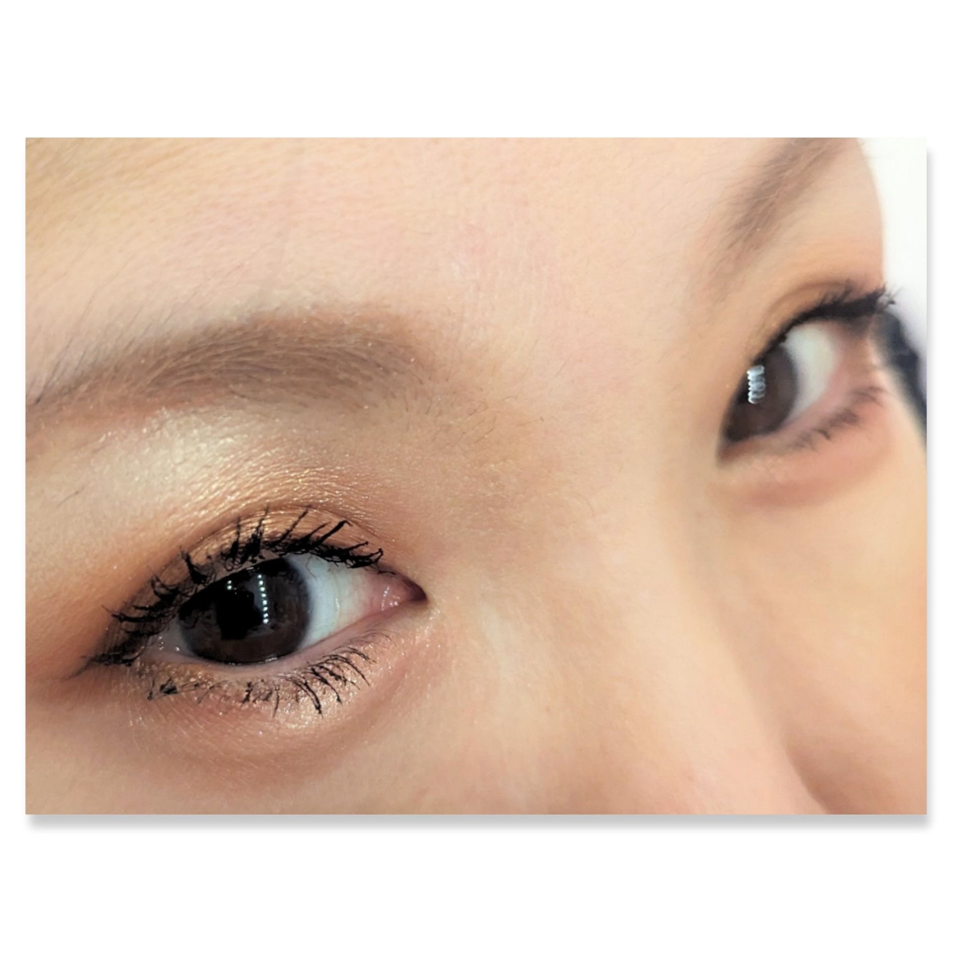 エレクトリックショックアイズ /KATE/アイシャドウパレットを使ったクチコミ（2枚目）