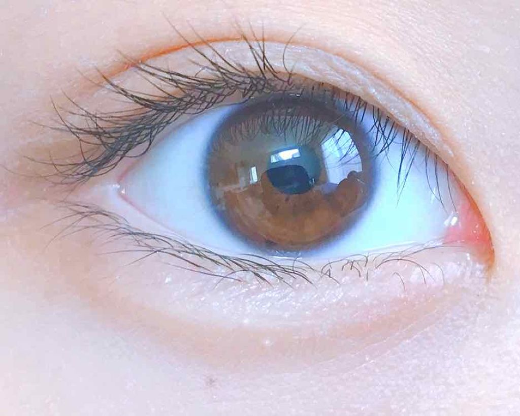 アイラッシュカーラー/DAISO/ビューラーを使ったクチコミ（1枚目）