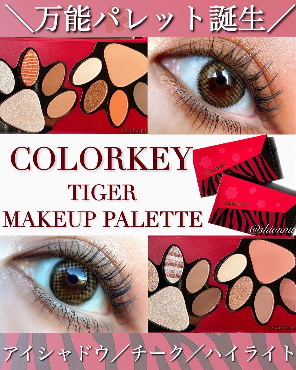TIGER MAKEUP PALETTE/COLORKEY/アイシャドウパレットを使ったクチコミ（1枚目）