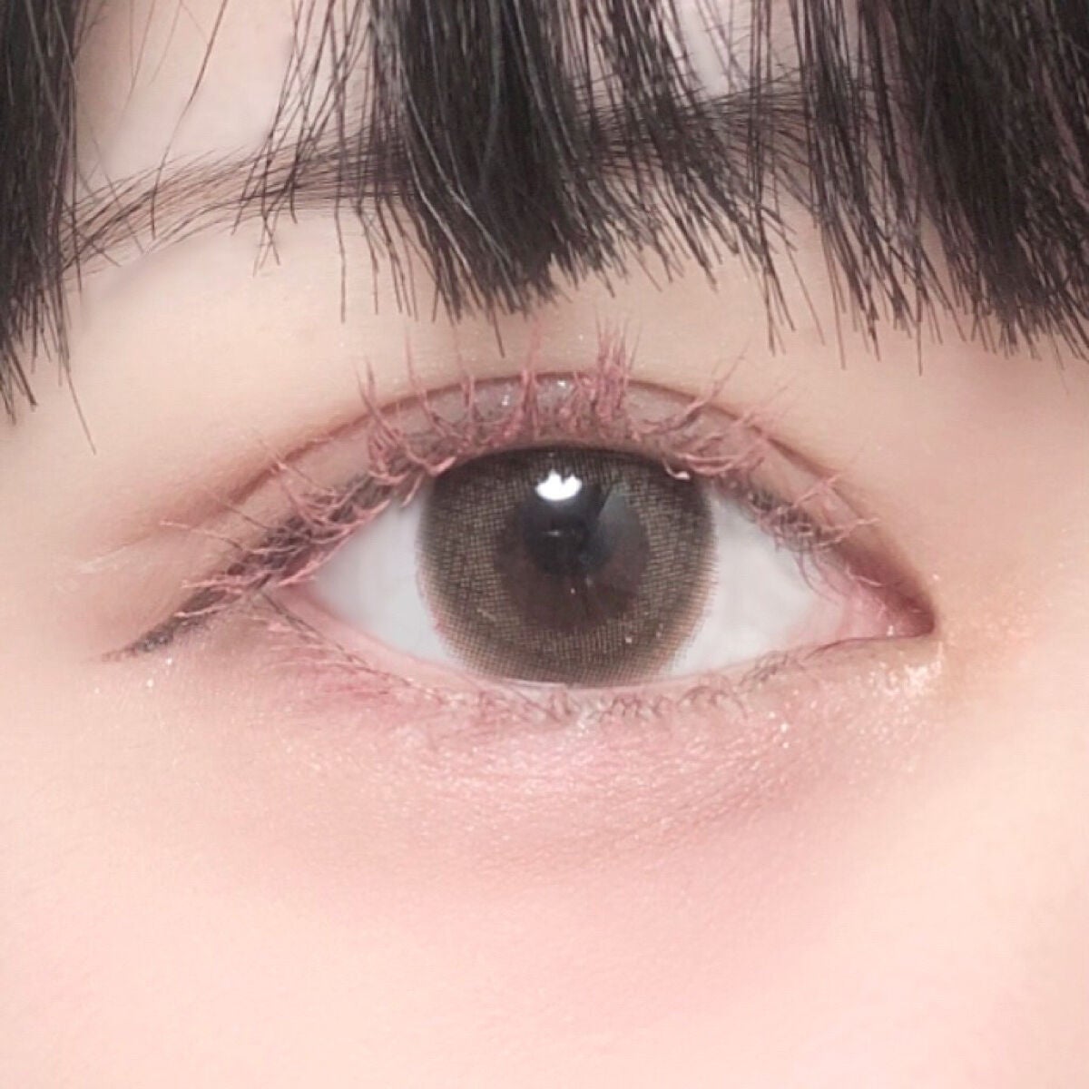 TOPARDS 1day/TOPARDS/ワンデー(1DAY)カラコンを使ったクチコミ(5枚目)