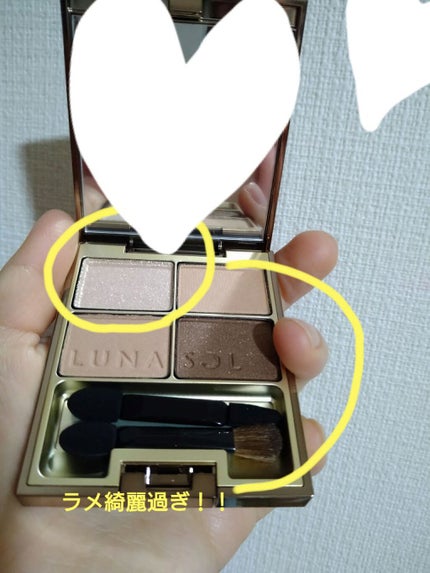 スキンモデリングアイズ/LUNASOL/アイシャドウパレットを使ったクチコミ(2枚目)