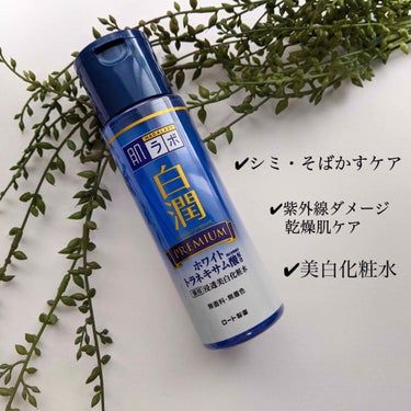 白潤プレミアム 薬用浸透美白化粧水/肌ラボ/化粧水を使ったクチコミ（1枚目）