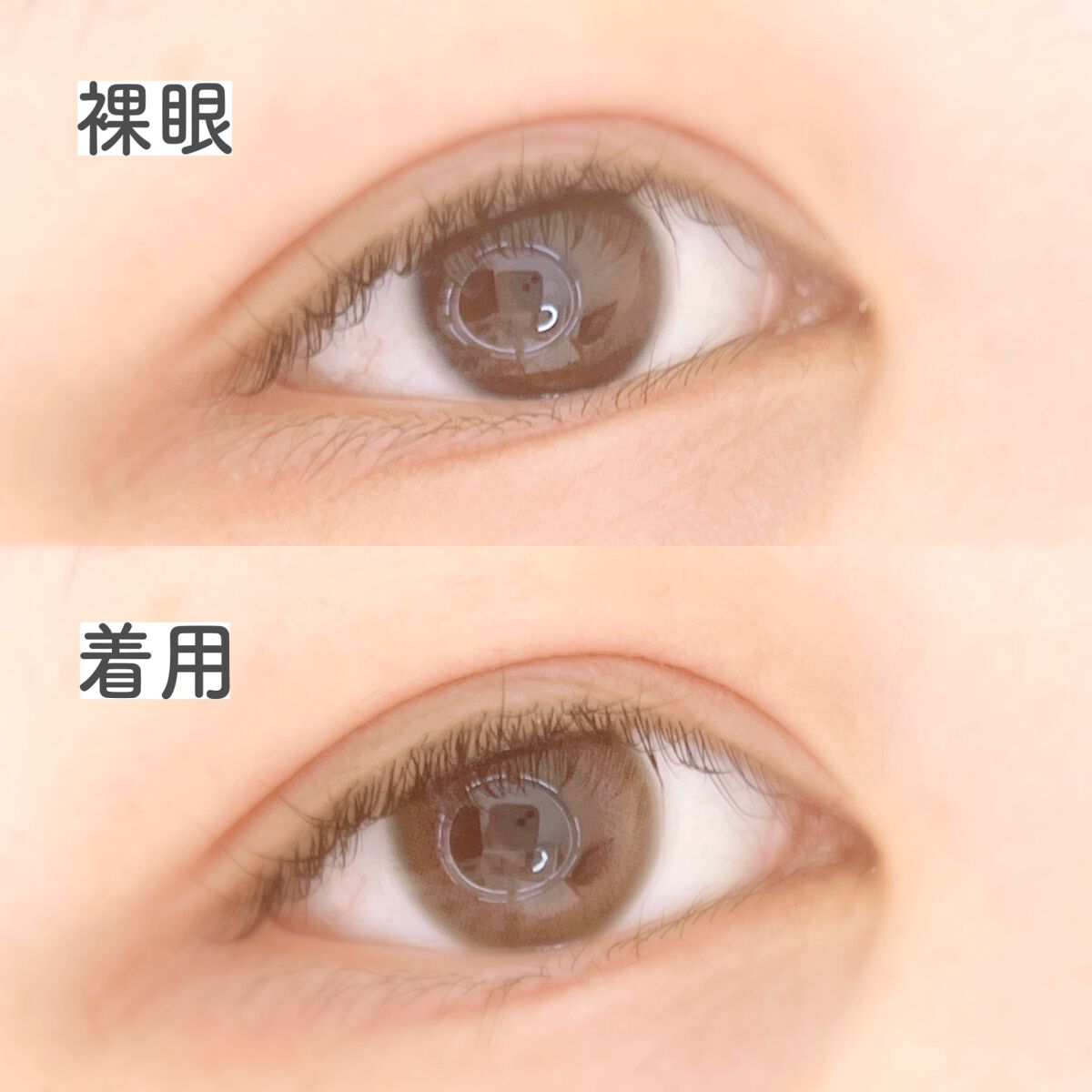 LuMia comfort 1day CIRCLE/LuMia/ワンデー(1DAY)カラコンを使ったクチコミ(2枚目)