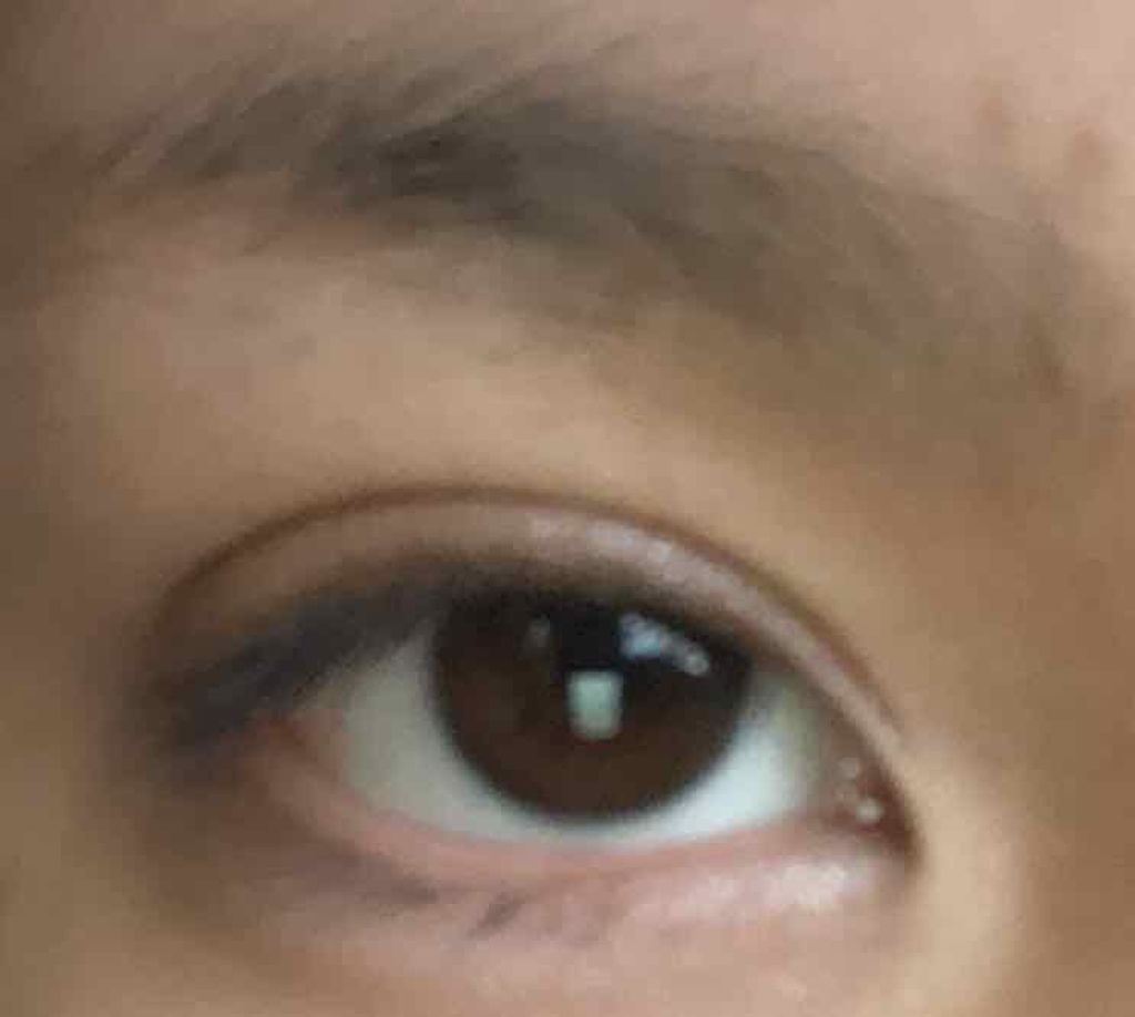 グラデーション アイ カラー（チップ付）/ちふれ/アイシャドウパレットを使ったクチコミ（1枚目）