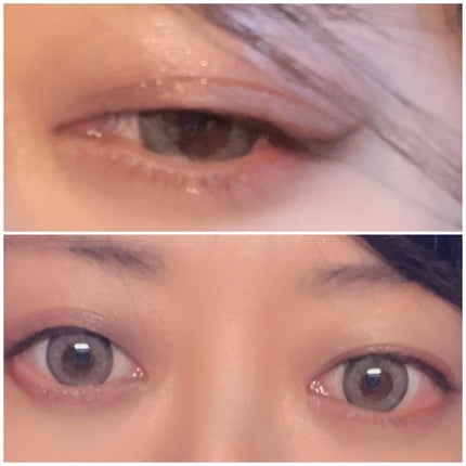 Angelcolor Bambi Series 1day /AngelColor/ワンデー(1DAY)カラコンを使ったクチコミ(4枚目)