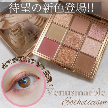 VenusMarble 9色アイシャドウパレット Estheticism（エステティシズム）/Venus Marble/パウダーアイシャドウを使ったクチコミ（1枚目）