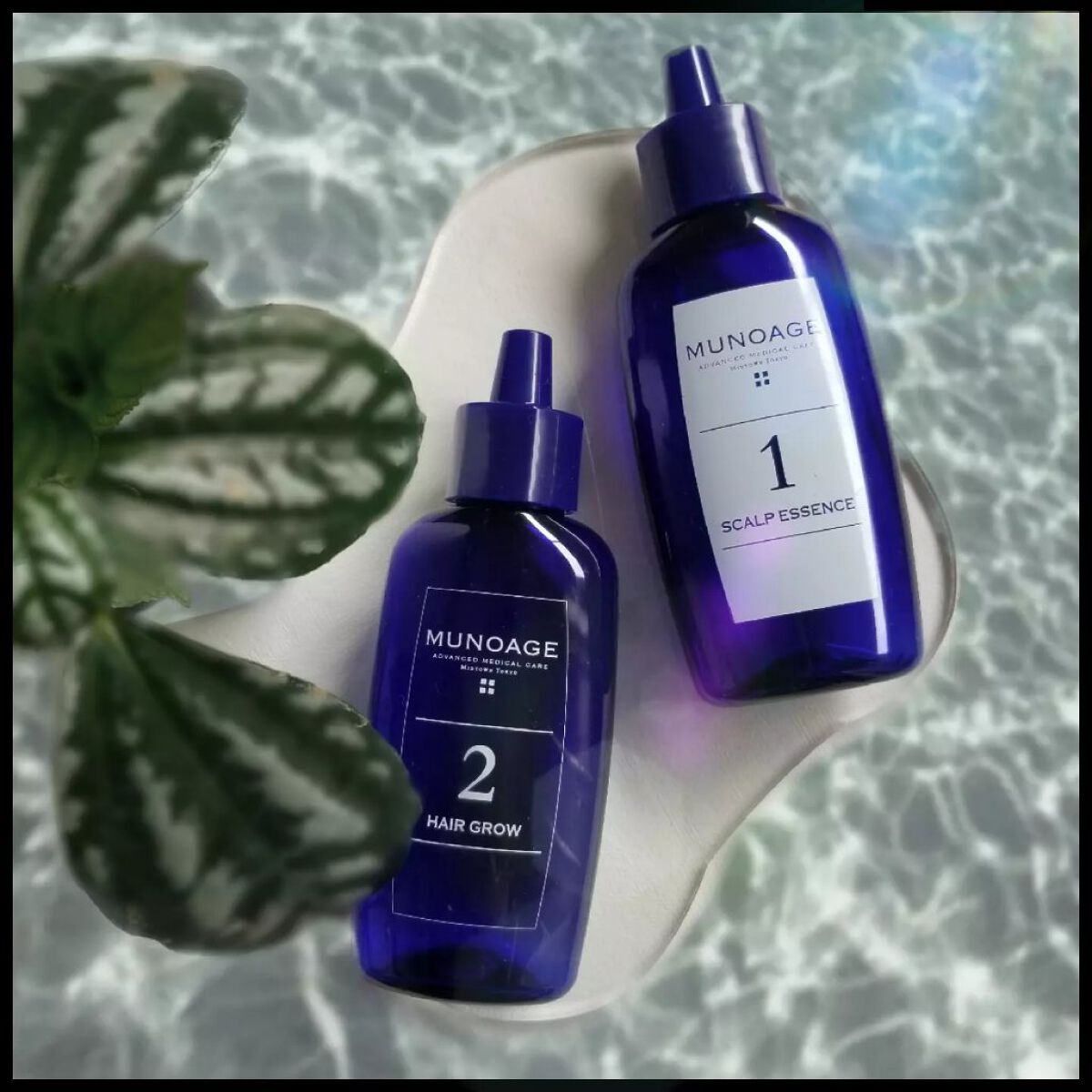 Wアプローチヘアプログラム/MUNOAGE(ミューノアージュ)/頭皮ローションを使ったクチコミ（1枚目）