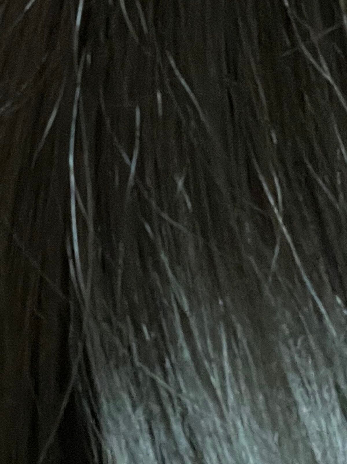 泡カラー 髪色もどし/リーゼ/ヘアカラーを使ったクチコミ(2枚目)