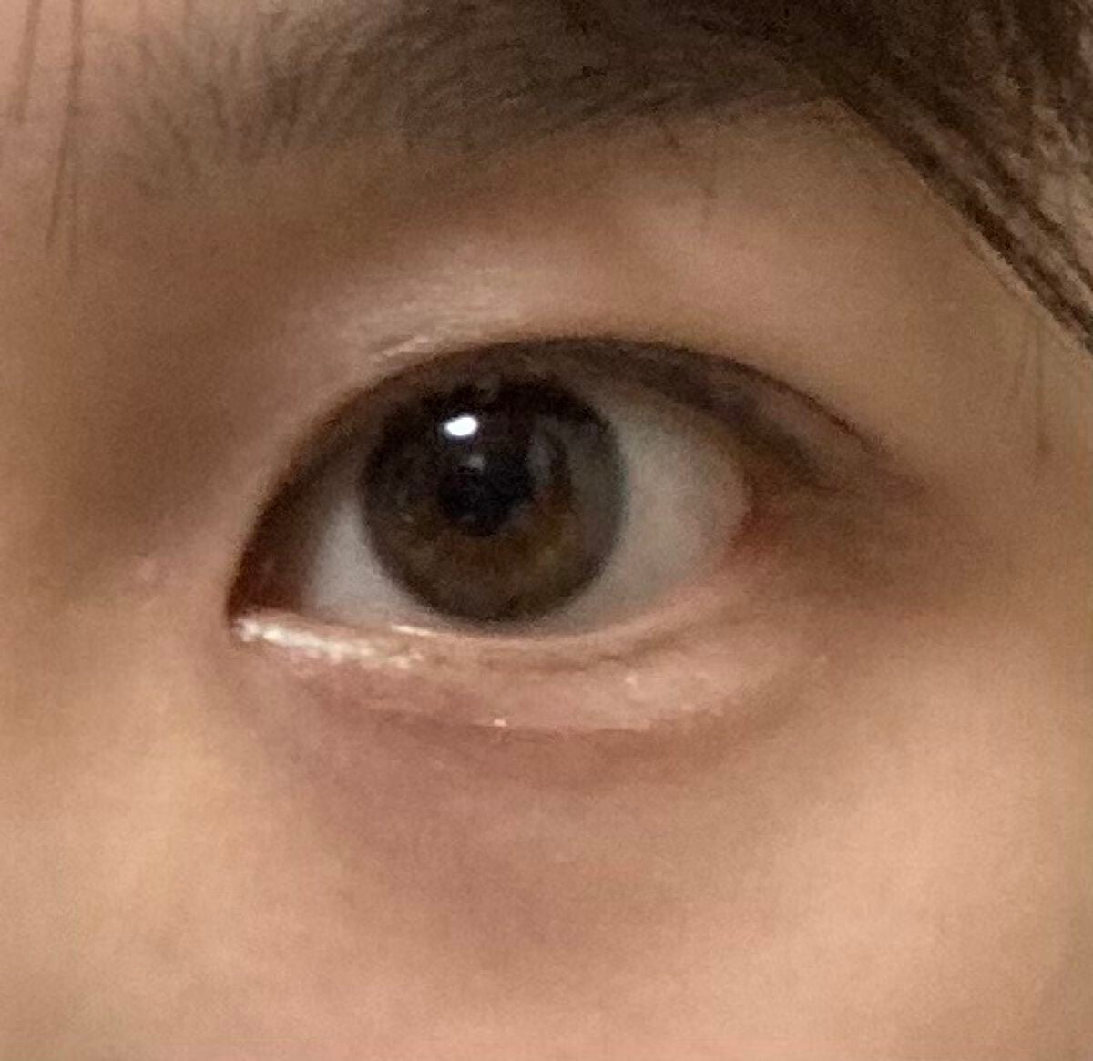 プランぷくコーデアイズ/キャンメイク/パウダーアイシャドウを使ったクチコミ(3枚目)