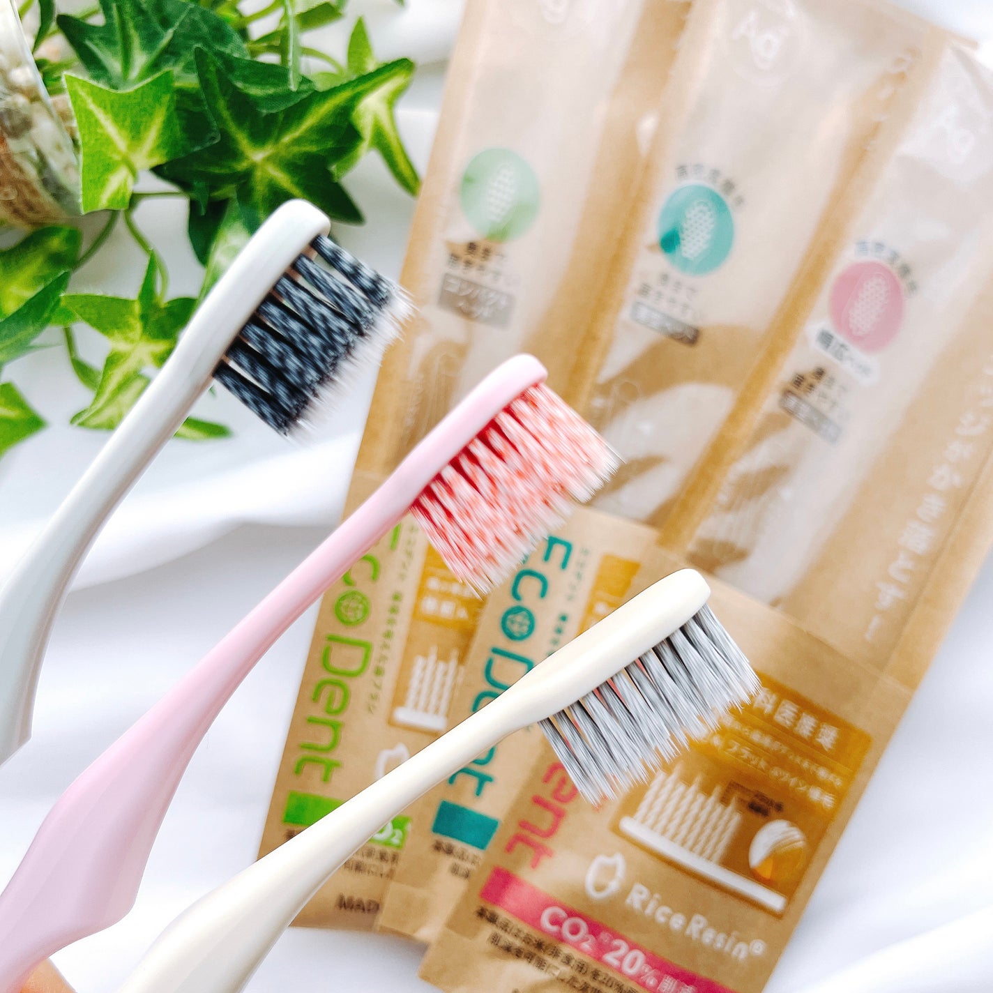 EcoDent ハブラシ/エコデント/歯ブラシを使ったクチコミ(1枚目)