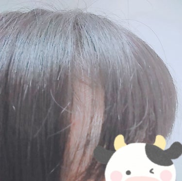 ヘアーオイル【トリートメント】/ellips/ヘアオイルを使ったクチコミ（1枚目）