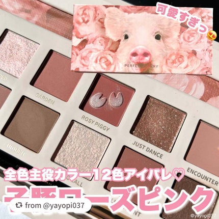 エクスプローラ12色 動物アイシャドウパレット/PERFECT DIARY/アイシャドウパレットを使ったクチコミ(1枚目)