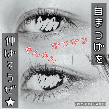 エテュセ アイエディション (マスカラベース)/ettusais/マスカラ下地を使ったクチコミ(1枚目)