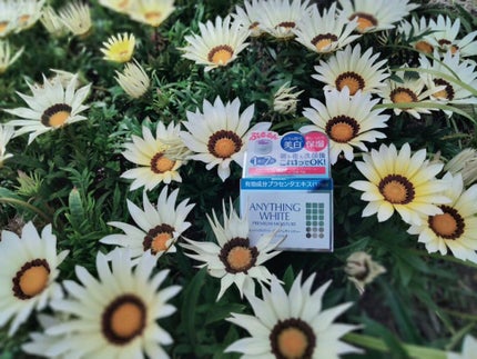 エニシングホワイト プレミアムモイスト/フェヴリナ/オールインワン化粧品を使ったクチコミ(1枚目)