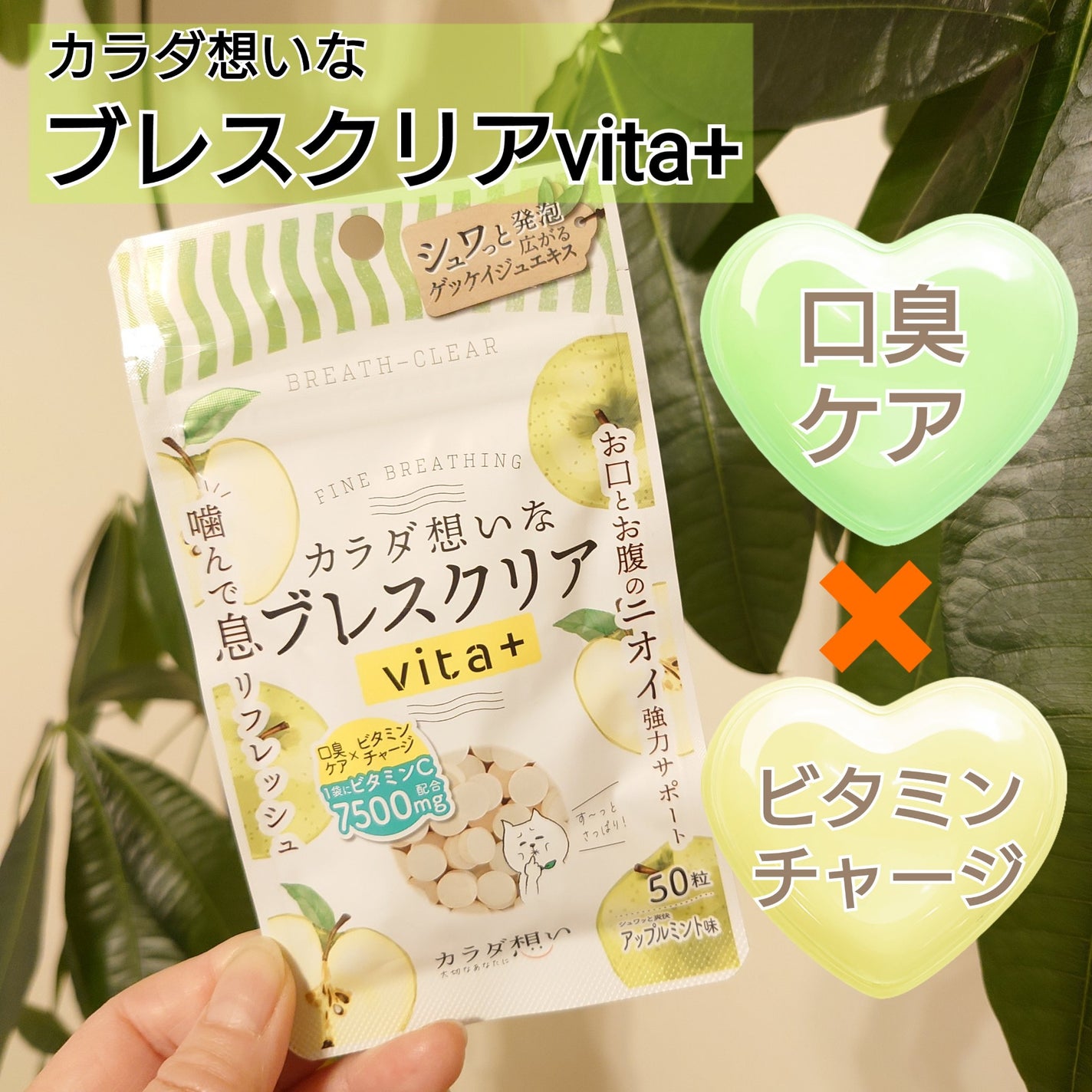 ブレスクリアvita+/カラダ想い/美容サプリメントを使ったクチコミ(1枚目)