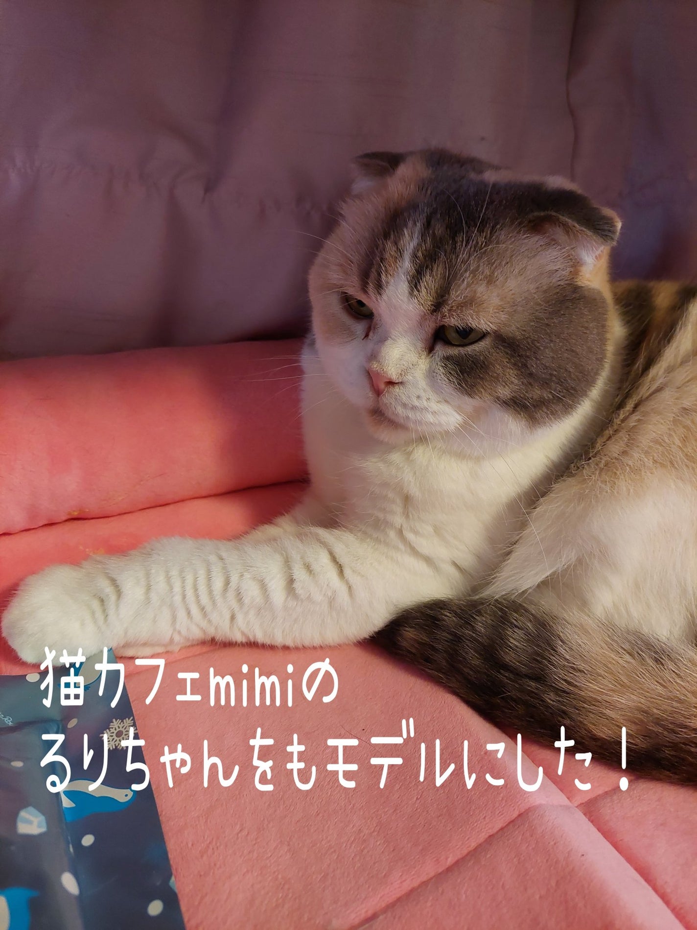 痛ライナー/ネイル工房/ジェルネイルを使ったクチコミ(2枚目)