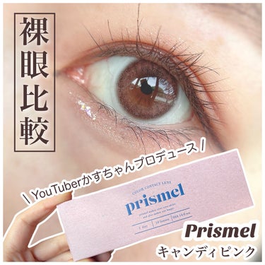 prismel 1day/Prismel/ワンデー（１DAY）カラコンを使ったクチコミ（1枚目）
