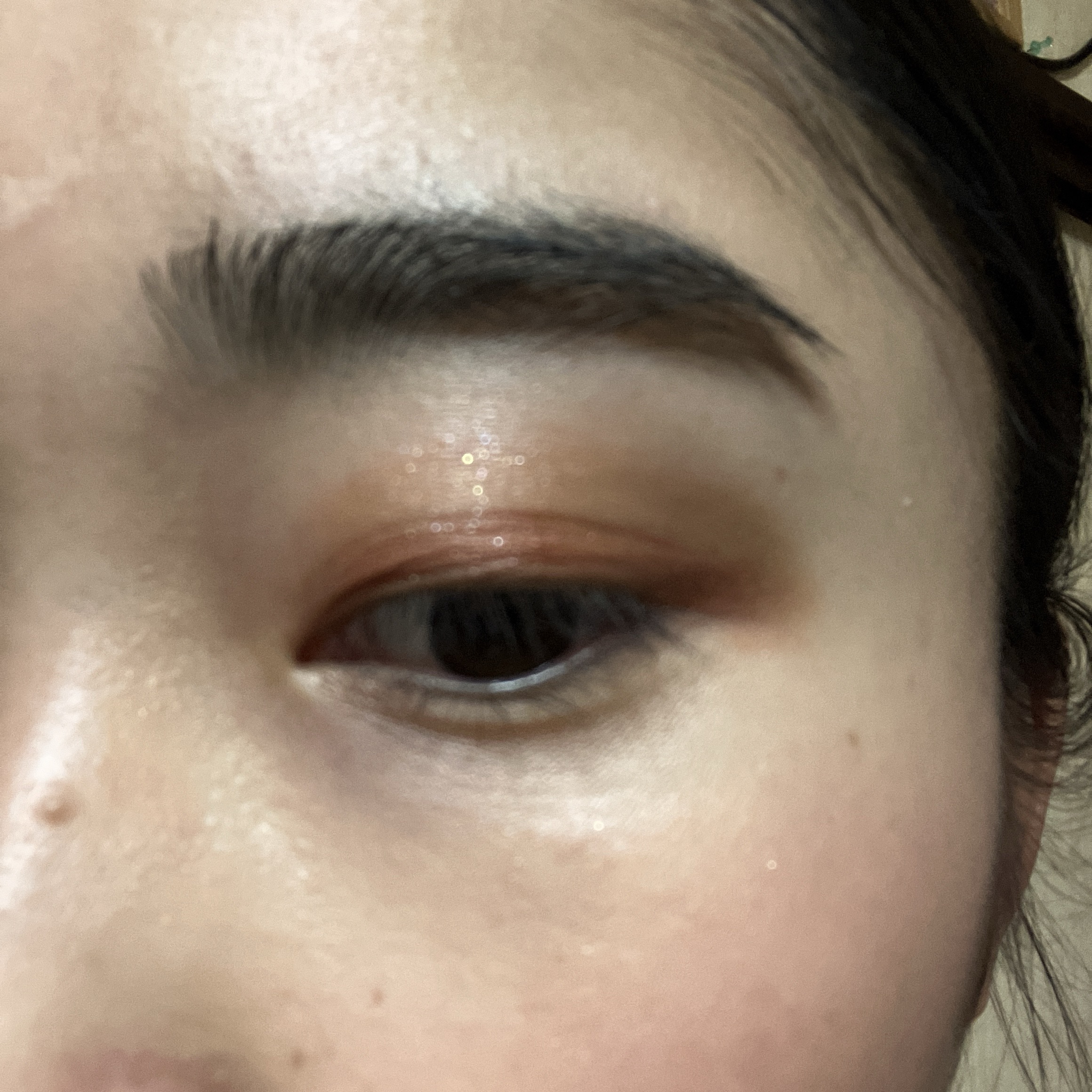 ミネラルクラッシィシャドー/エトヴォス/アイシャドウパレットを使ったクチコミ（2枚目）