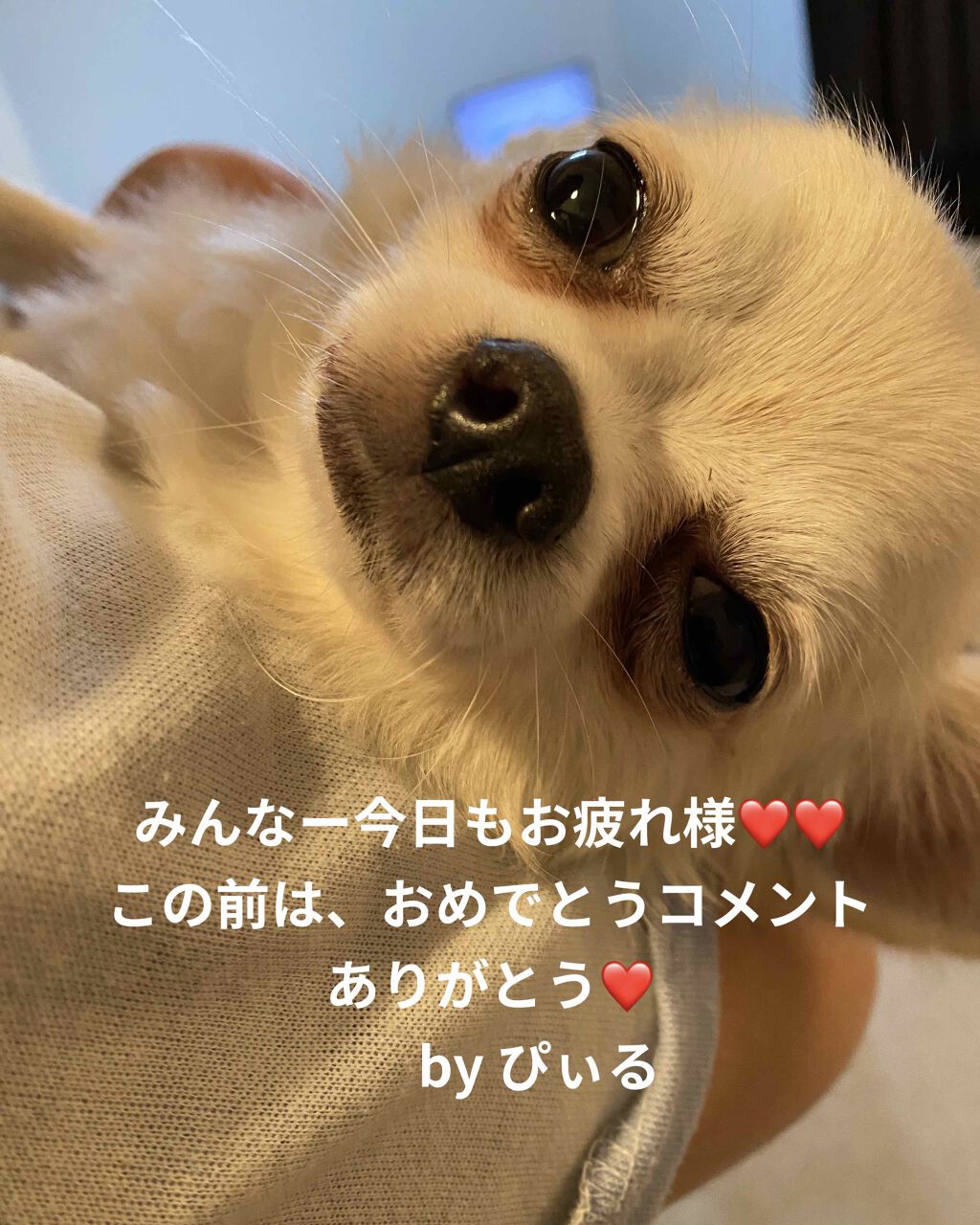 シルキースフレアイズ/キャンメイク/アイシャドウパレットを使ったクチコミ(4枚目)