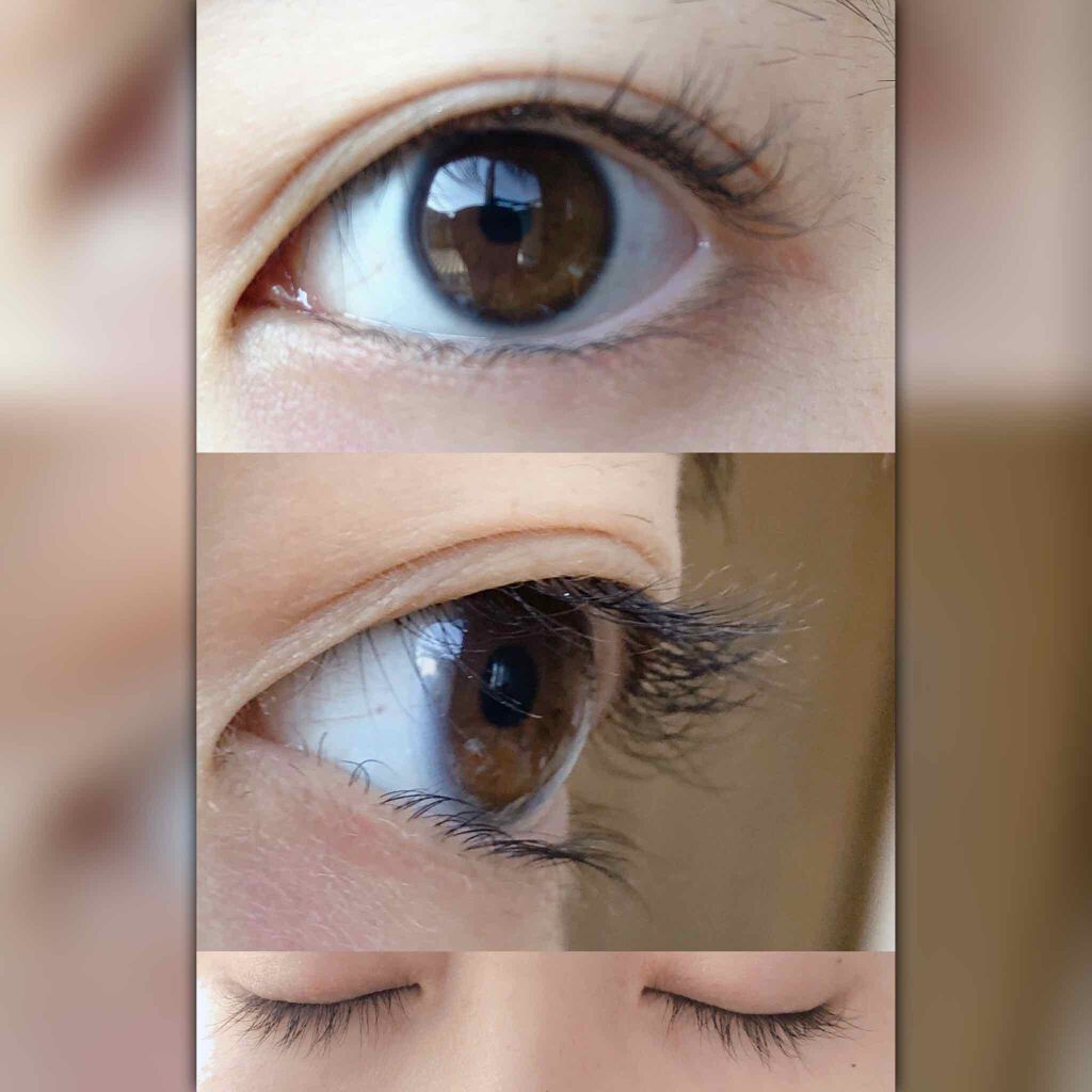 ラッシュジェリードロップ　ＥＸ/MAJOLICA MAJORCA/まつげ美容液を使ったクチコミ（2枚目）