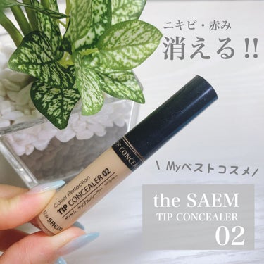 カバーパーフェクション チップコンシーラー/the SAEM/リキッドコンシーラーを使ったクチコミ（1枚目）