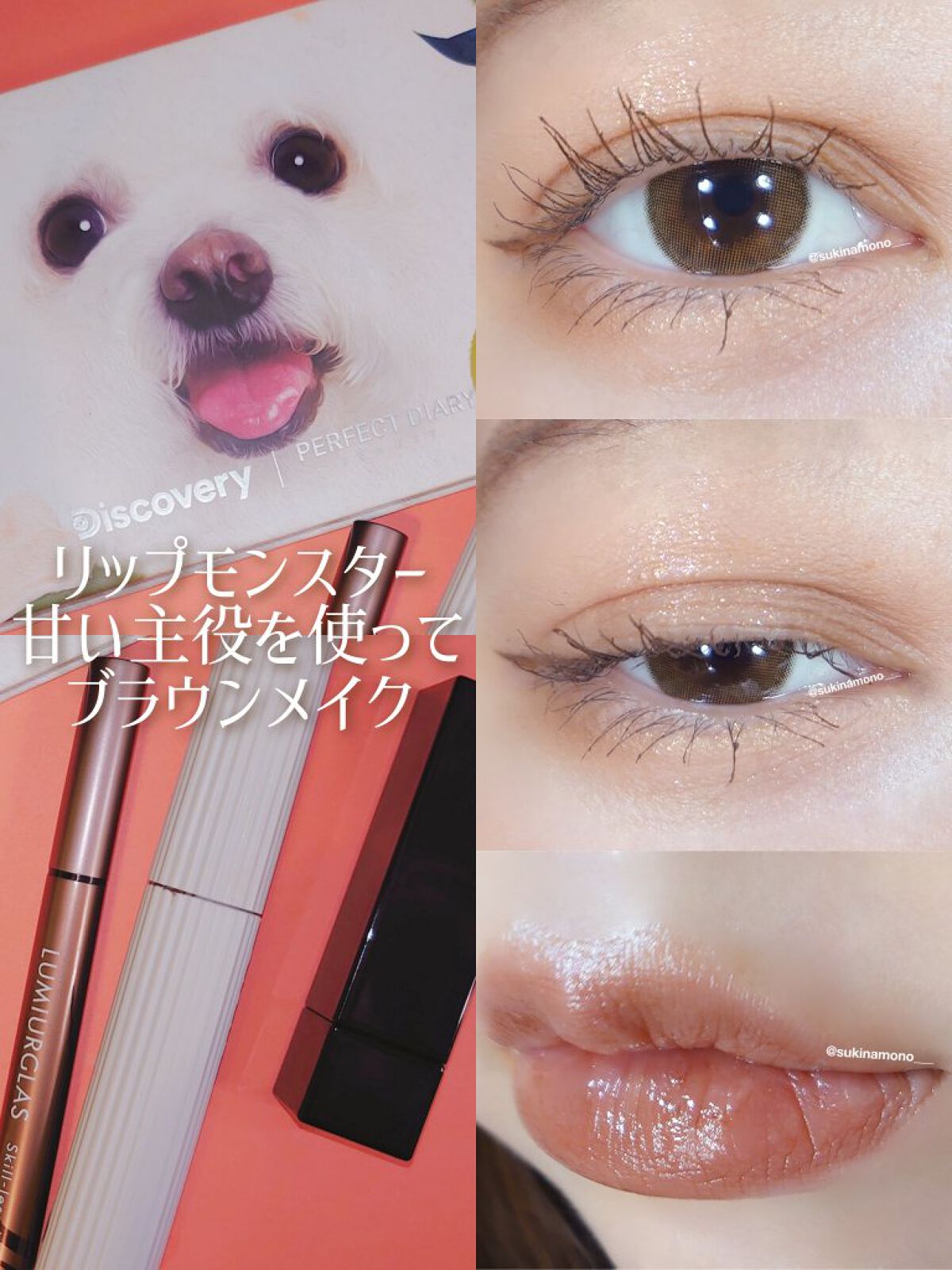 エクスプローラ12色 動物アイシャドウパレット/PERFECT DIARY/アイシャドウパレットを使ったクチコミ（1枚目）