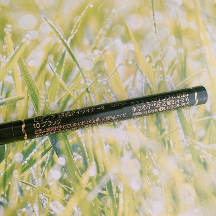 極細 アイライナーR 10 ブラック/CEZANNE/リキッドアイライナーの画像