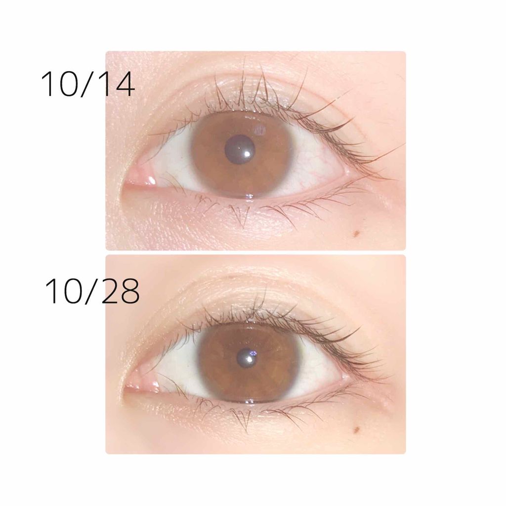 ラッシュジェリードロップ/MAJOLICA MAJORCA/まつげ美容液を使ったクチコミ(2枚目)