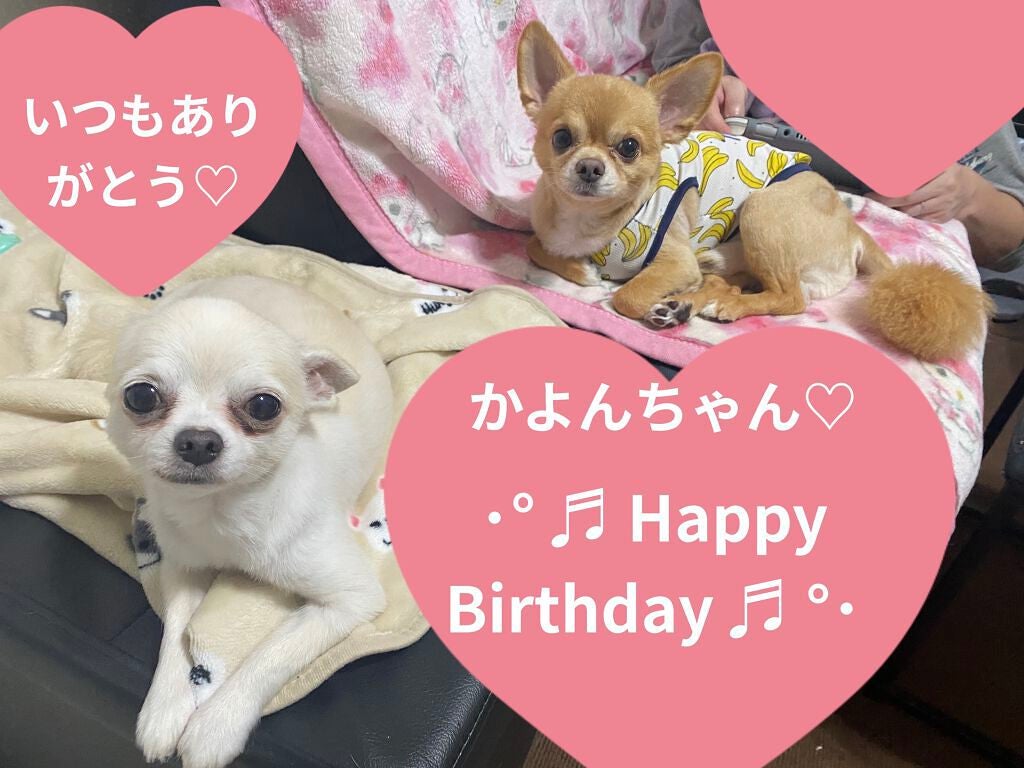 ぷぅぴぃ《紫コス部💜💗》 on LIPS 「🎉🎉🎉🎉2021年9月15日🎉🎉🎉🎉🎉🎉#かよんちゃん°.✧H..」(6枚目)