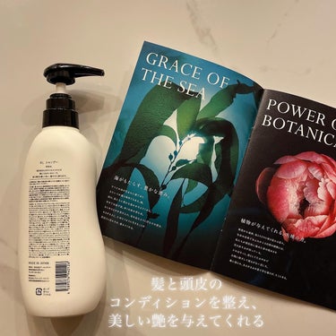 Lilou Lilou リル ラグジュアリーシャンプー/トリートメントのクチコミ「🧖‍♀️🧴
海と植物の濃密エキスで至福のうるおい、
ラグジュアリーな艶めき🤍

リルラク.....」（2枚目）