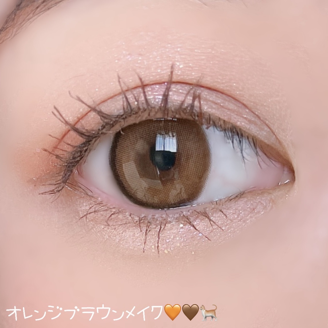 シルキースフレアイズ（マットタイプ）/キャンメイク/アイシャドウパレットを使ったクチコミ（1枚目）