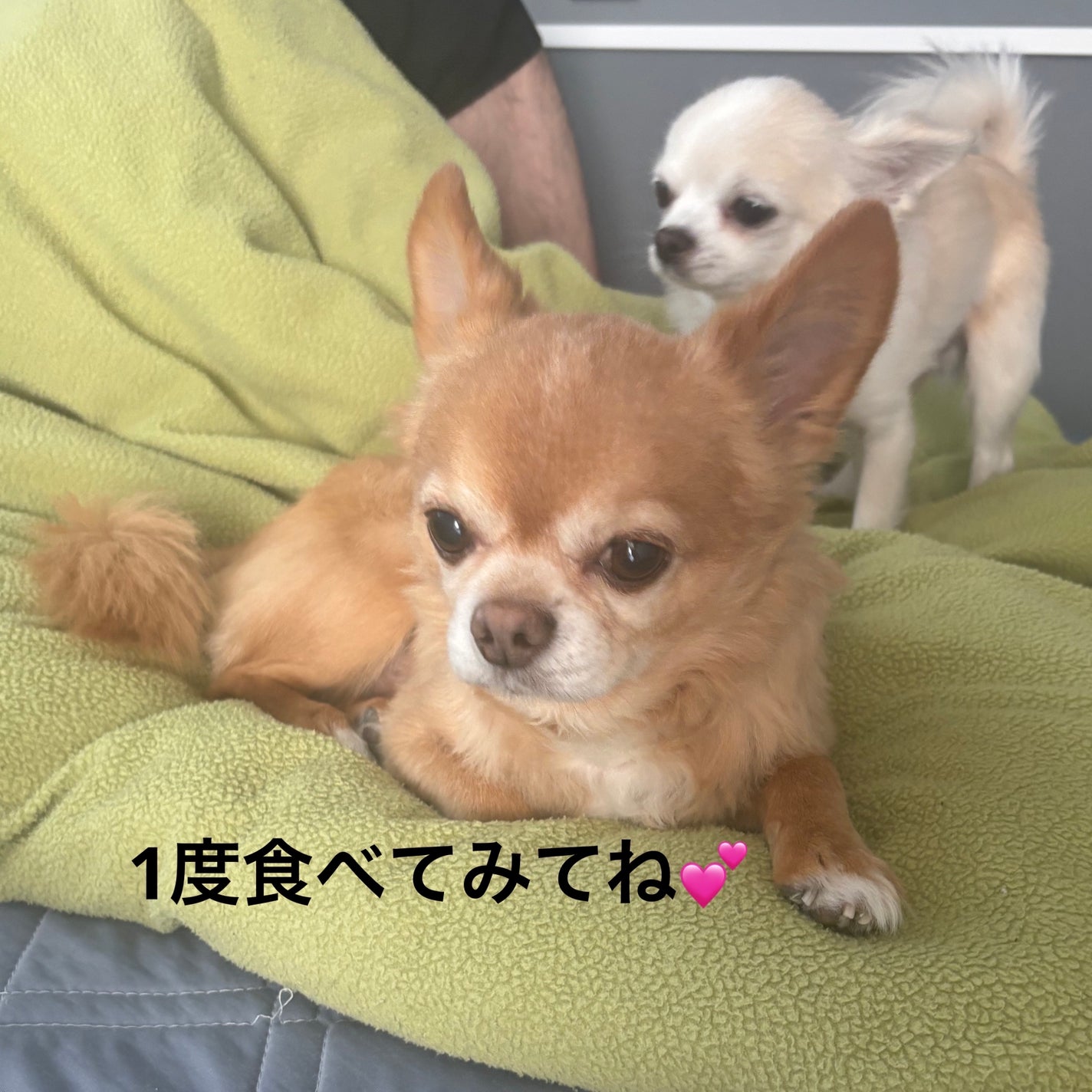 ぷぅぴぃ《紫コス部💜💗》 on LIPS 「森永乳業ビエネッタ499円ビエネッタ知っていますか?私が子ども..」(7枚目)