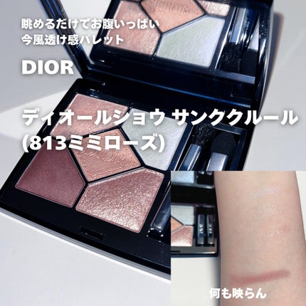 ケイト ザ アイカラー/KATE/単色アイシャドウを使ったクチコミ(4枚目)